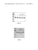 Deglycosylation Reagents and Methods diagram and image