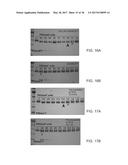 Deglycosylation Reagents and Methods diagram and image