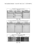 Deglycosylation Reagents and Methods diagram and image