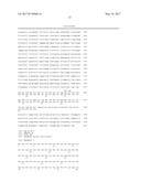 ApoIII and the Treatment and Diagnosis of Diabetes diagram and image