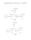 Compounds and Methods for Use in Detecting Gabapentin diagram and image