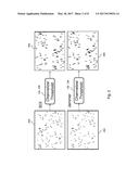 METHOD AND SYSTEM OF REACTIVE INTERFERER DETECTION diagram and image