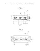 POLARIZER AND DISPLAY DEVICE HAVING THE SAME diagram and image
