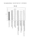 MODEL SETTING METHOD, FORMING SIMULATION METHOD, PRODUCTION METHOD OF     FORMING TOOL, PROGRAM, COMPUTER-READABLE RECORDING MEDIUM HAVING PROGRAM     RECORDED THEREON, AND FINITE ELEMENT MODEL diagram and image