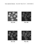 PHASE TRANSFORM FOR OBJECT AND SHAPE DETECTION IN DIGITAL IMAGES diagram and image