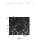 THERMOELECTRIC POLYMER COMPOSITE, METHOD OF MAKING AND USE OF SAME diagram and image