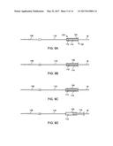 INLINE PATENCY CHECK DEVICE diagram and image