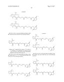 ISOBARIC MASS LABELS diagram and image