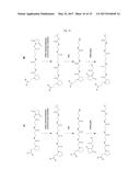 ISOBARIC MASS LABELS diagram and image