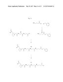 ISOBARIC MASS LABELS diagram and image