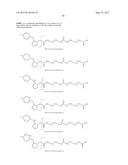 ISOBARIC MASS LABELS diagram and image