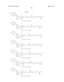 ISOBARIC MASS LABELS diagram and image