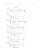 ISOBARIC MASS LABELS diagram and image