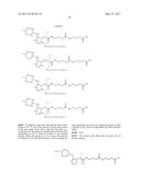 ISOBARIC MASS LABELS diagram and image