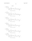 ISOBARIC MASS LABELS diagram and image