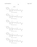 ISOBARIC MASS LABELS diagram and image