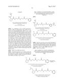 ISOBARIC MASS LABELS diagram and image