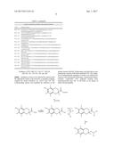 6-Hydroxy-2,5,7,8-Tetramethylchroman-Compounds for the Treatment of     Chronic Obstructive Airway Diseases diagram and image