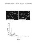 SULPHATE SALTS OF     N-(3-(4-(3-(DIISOBUTYLAMINO)PROPYL)PIPERAZIN-1-YL)PROPYL)-1H-BENZO[d]IMID-    AZOL-2-AMINE, PREPARATION THEREOF AND USE OF THE SAME diagram and image