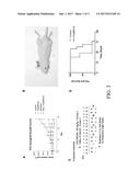 F10 Inhibits Growth of PC3 Xenografts and Enhances the Effects of     Radiation Therapy diagram and image