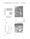 F10 Inhibits Growth of PC3 Xenografts and Enhances the Effects of     Radiation Therapy diagram and image