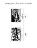 LAMINATING DEVICE FOR COMPOSITE MATERIALS diagram and image