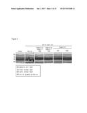 NOVEL INDENE DERIVATIVE, PREPARATION METHOD FOR SAME, AND PHARMACEUTICAL     COMPOSITION, FOR PREVENTING OR TREATING RETINAL DISEASES, CONTAINING SAME     AS ACTIVE INGREDIENT diagram and image