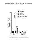 INHIBITORS OF THE FARNESOID X RECEPTOR AND USES IN MEDICINE diagram and image