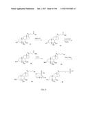 INHIBITORS OF THE FARNESOID X RECEPTOR AND USES IN MEDICINE diagram and image