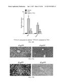 INHIBITORS OF THE FARNESOID X RECEPTOR AND USES IN MEDICINE diagram and image