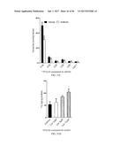 INHIBITORS OF THE FARNESOID X RECEPTOR AND USES IN MEDICINE diagram and image