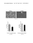 INHIBITORS OF THE FARNESOID X RECEPTOR AND USES IN MEDICINE diagram and image