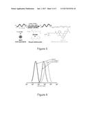 FUNCTIONALIZED POLYMER HYBRIDS diagram and image