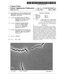 DUST REPELLANT AND ANTI-REFLECTIVE INORGANIC COATING AND METHOD FOR     PREPARING THE SAME diagram and image