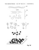 HIGH DENSITY DNA ARRAY diagram and image