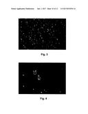 HIGH DENSITY DNA ARRAY diagram and image