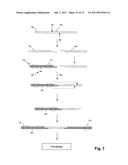 HIGH DENSITY DNA ARRAY diagram and image