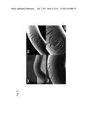 BULK NICKEL-BASED CHROMIUM AND PHOSPHOROUS BEARING METALLIC GLASSES diagram and image