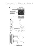 CELLULAR DISCOVERY PLATFORM FOR NEURODEGENERATIVE DISEASES diagram and image