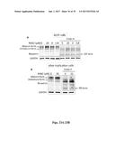 CELLULAR DISCOVERY PLATFORM FOR NEURODEGENERATIVE DISEASES diagram and image