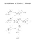 ASSAYS FOR VITAMIN D EPIMERS diagram and image