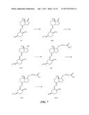 ASSAYS FOR VITAMIN D EPIMERS diagram and image