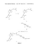 ASSAYS FOR VITAMIN D EPIMERS diagram and image