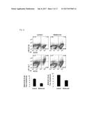 COMPOSITION USING METFORMIN FOR PREVENTING OR TREATING IMMUNE DISEASES     INCLUDING LUPUS diagram and image