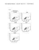 COMPOSITION USING METFORMIN FOR PREVENTING OR TREATING IMMUNE DISEASES     INCLUDING LUPUS diagram and image