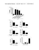 COMPOSITION USING METFORMIN FOR PREVENTING OR TREATING IMMUNE DISEASES     INCLUDING LUPUS diagram and image