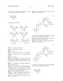 NOVEL MACROCYCLES AS FACTOR XIA INHIBITORS diagram and image