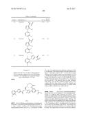 NOVEL MACROCYCLES AS FACTOR XIA INHIBITORS diagram and image