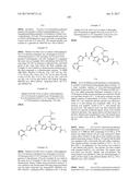 NOVEL MACROCYCLES AS FACTOR XIA INHIBITORS diagram and image