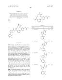 NOVEL MACROCYCLES AS FACTOR XIA INHIBITORS diagram and image